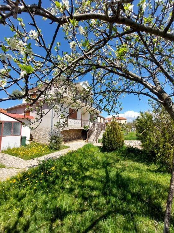 Prespa'S Balcony Guesthouse Dolna Gorica Buitenkant foto