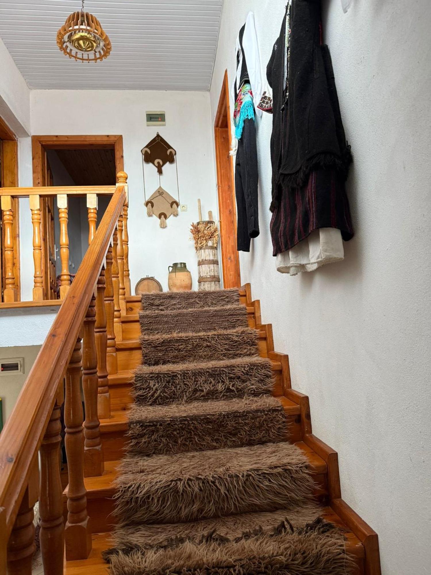 Prespa'S Balcony Guesthouse Dolna Gorica Buitenkant foto